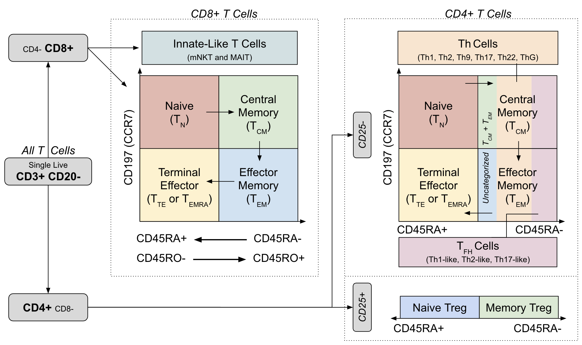 Gating strategy and cell differentiation overlay from OMIP-030